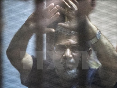 В Египте национализированы активы экс-президента Мухаммеда Мурси - ảnh 1